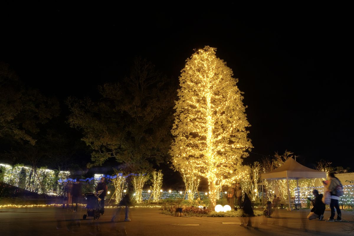 いばらきフラワーパークのイルミネーション2022は「灯す　ひかりとつながる夜」。2022年11月12日（土）スタート！