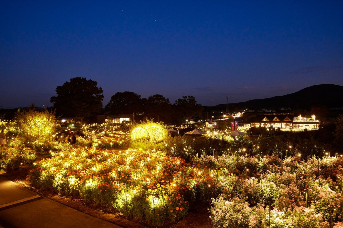 いばらきフラワーパークのイルミネーション2022は「灯す ひかりとつながる夜」。2022年11月12日(土)スタート!