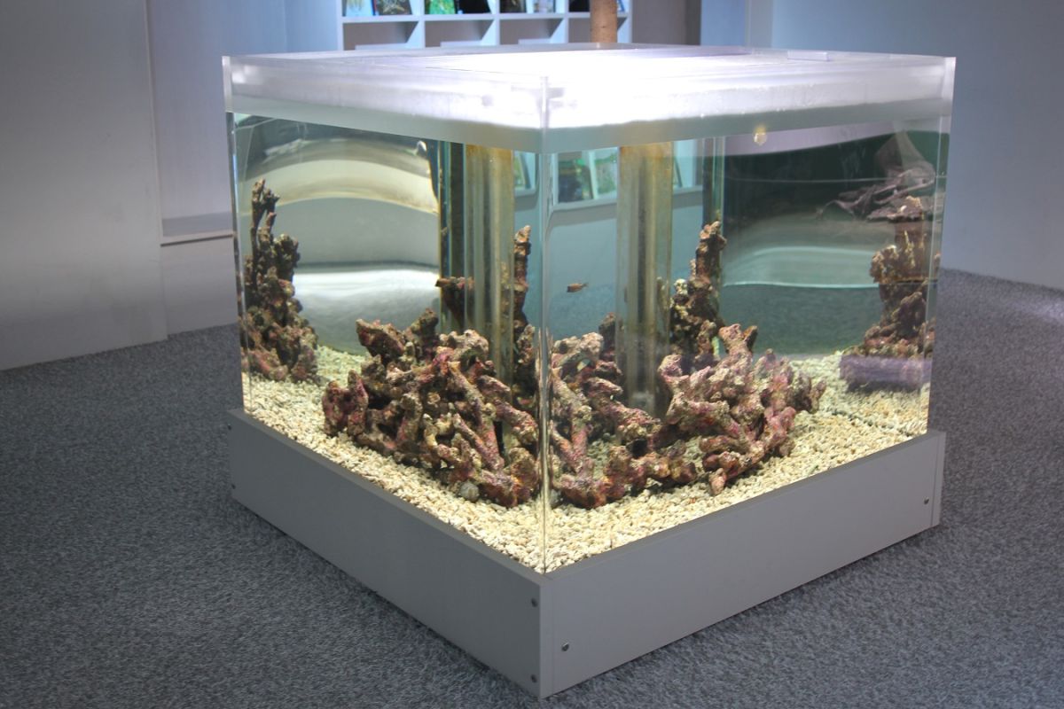 靴を脱いで床に座って観察できるエリアも