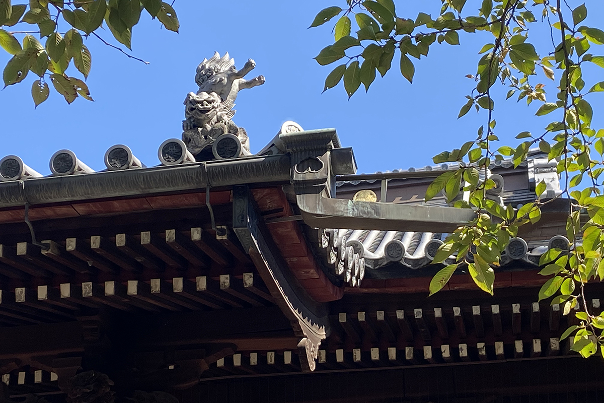 本堂の屋根には獅子が彫刻されている。細かい部分もじっくり見てみよう
