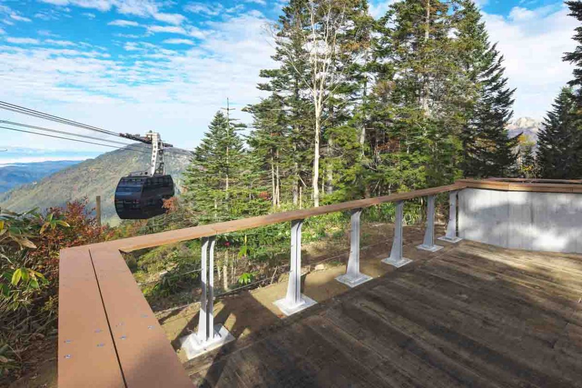 「森のテラス」のすぐ脇にある「森のカウンター」。タイミングによっては、ドリンクや軽食が楽しめる出店があるかも