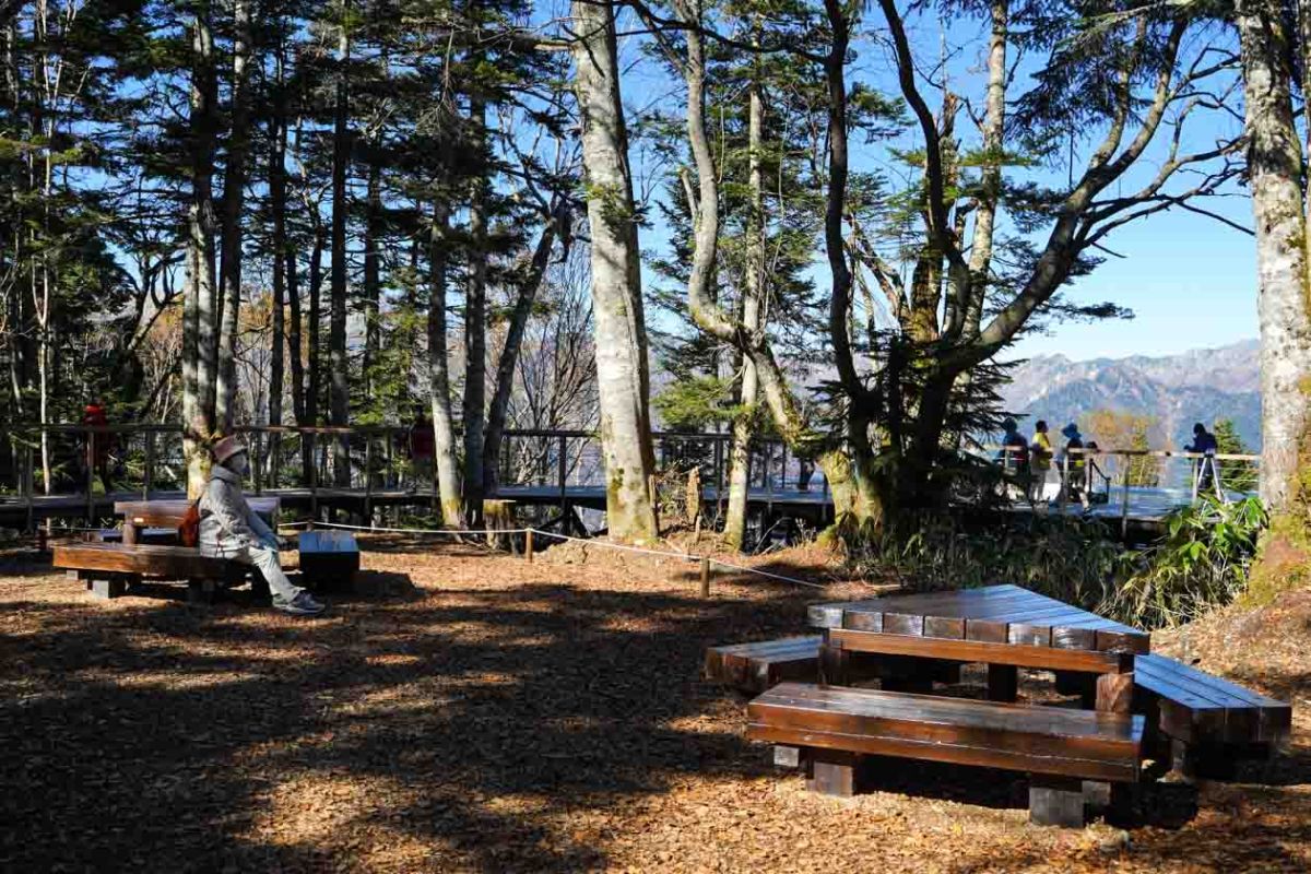 「森のテーブル」は木漏れ日を感じながら食事や休憩ができる癒しのスポット