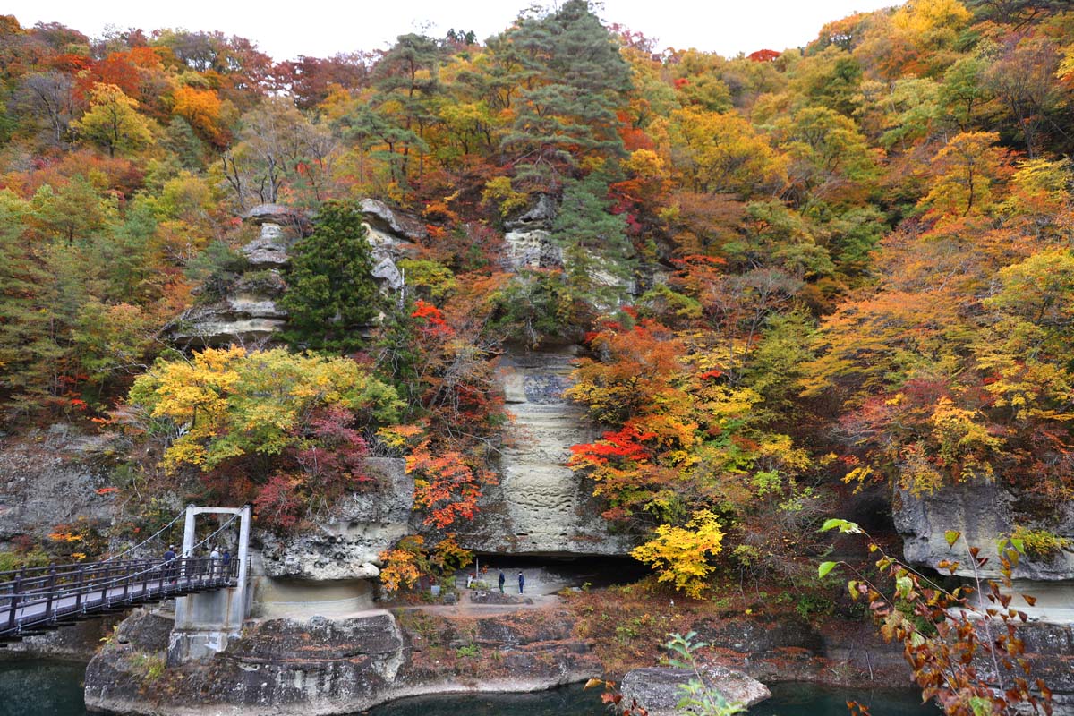柱状の断崖一帯は樹木に覆われている