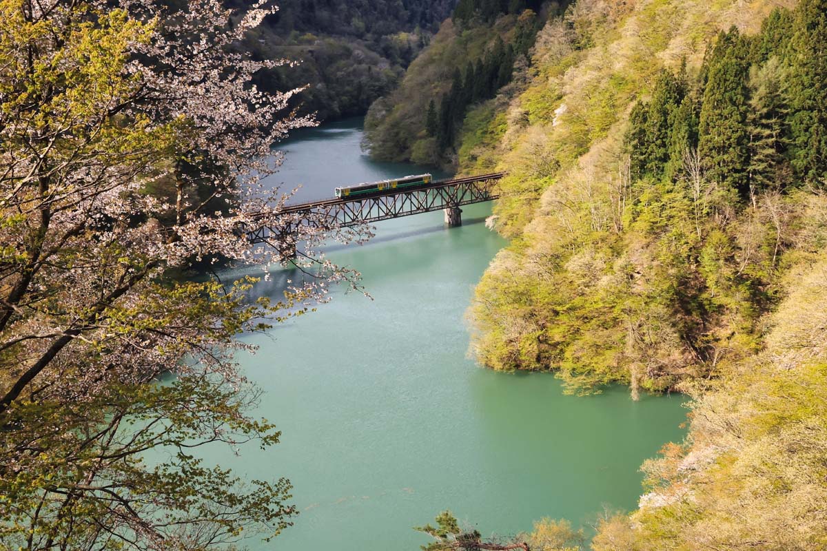 命が芽吹く春の「第三只見川橋梁」（撮影：奥会津郷土写真家　星賢孝）