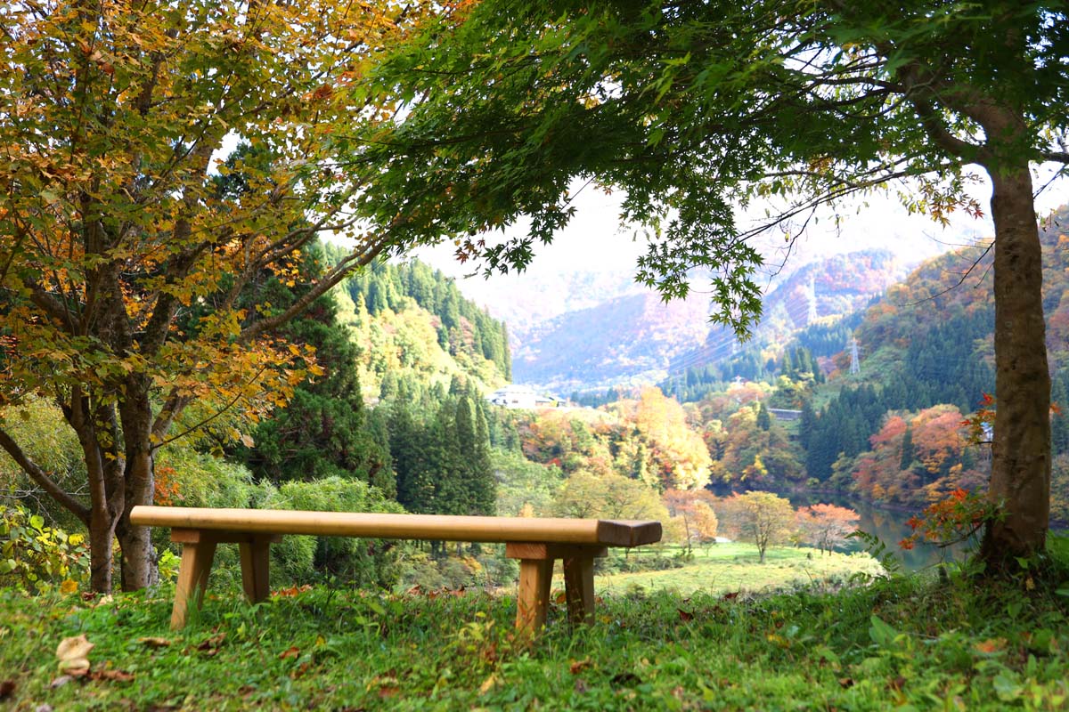 散策付プランでは、絶景ポイントに案内してくれる