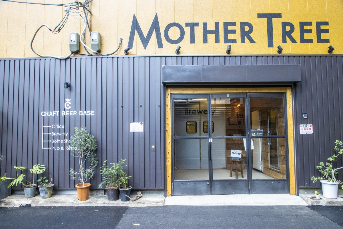 CRAFT BEER BASE MOTHER TREE