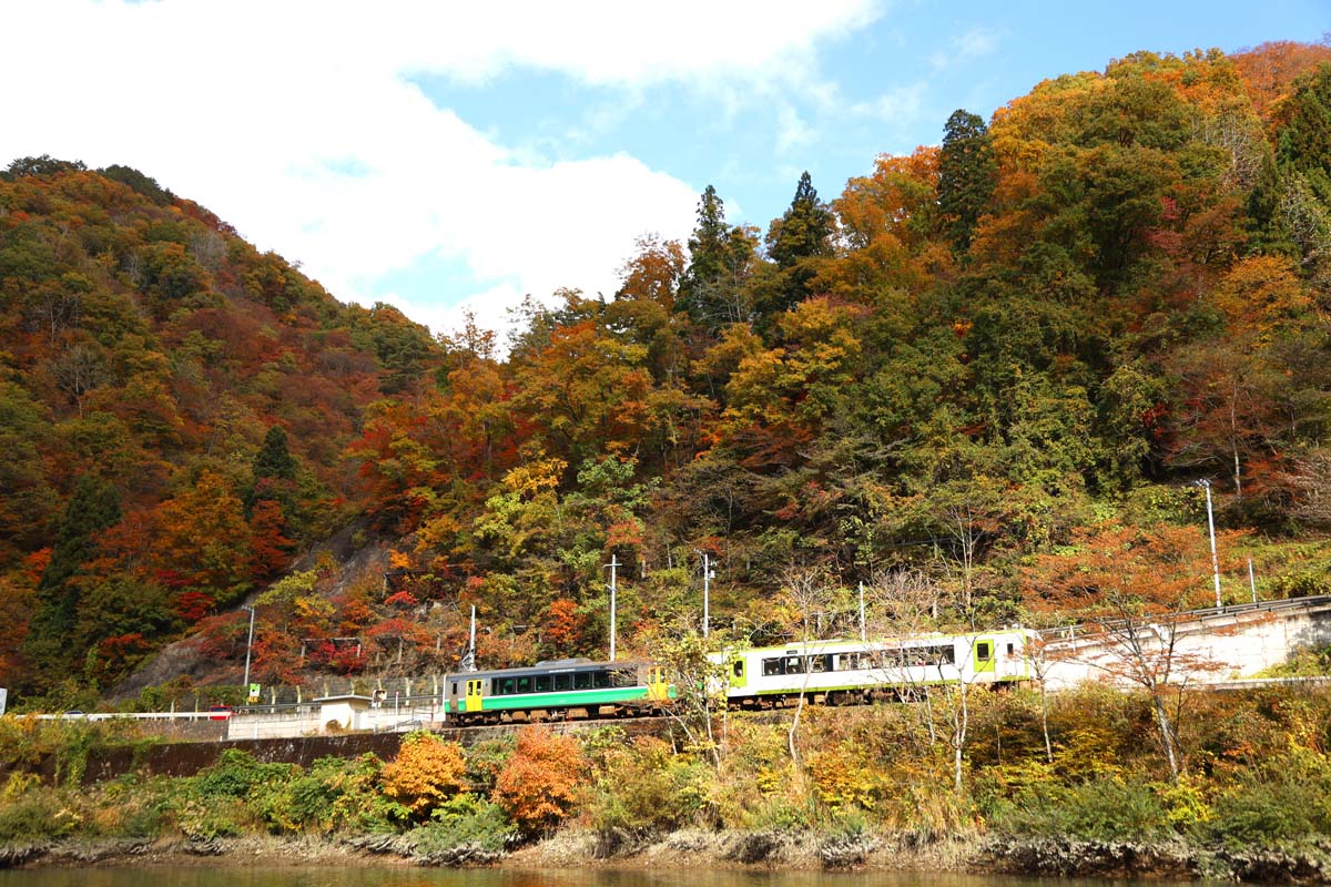只見線を走る列車に手を振る