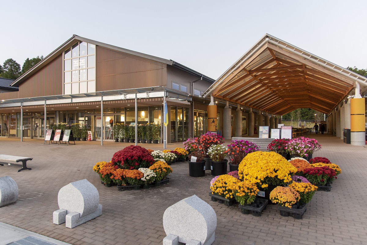 道の駅も菊が華やか。栗の形の車止めにも注目を