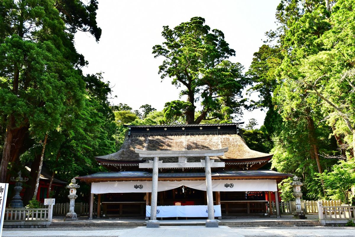 拝殿(写真)をはじめ弊殿、本殿すべてが国の重要文化財