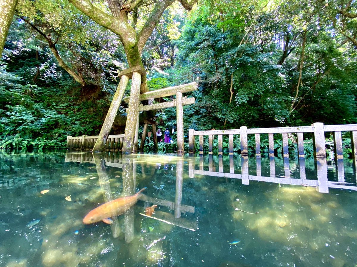 澄みきった霊水をたたえる御手洗池。すぐ近くの茶屋で休憩できる