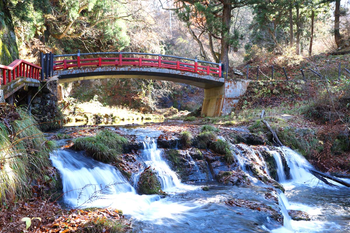 自然豊かな遊歩道が整備されている
