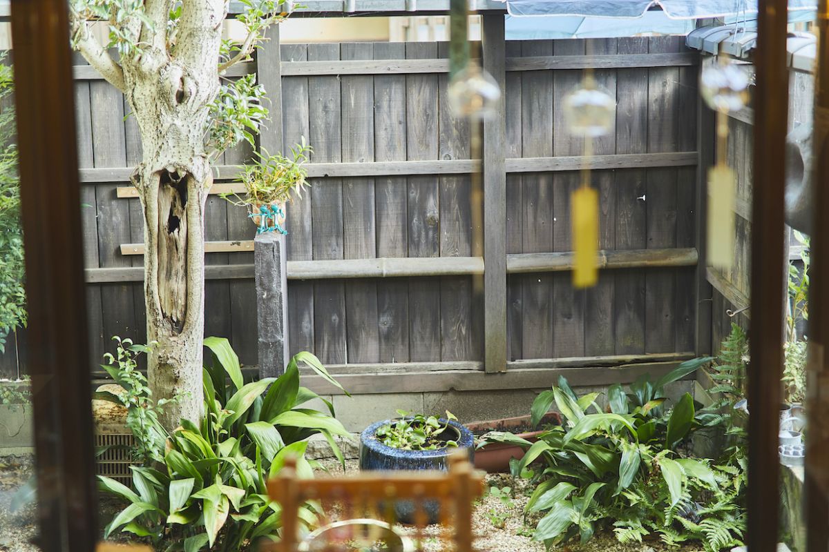 1階席から見えるお庭