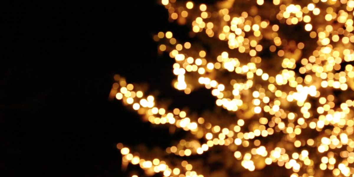 汐留・新橋のイルミネーション特集2025-2026｜クリスマスにもおすすめ