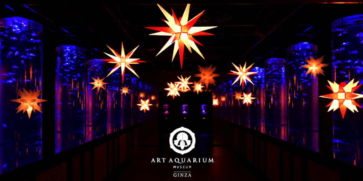 クリスマスのお出かけに！アートアクアリウム美術館 GINZAのクリスマスイルミネーションはいかが？