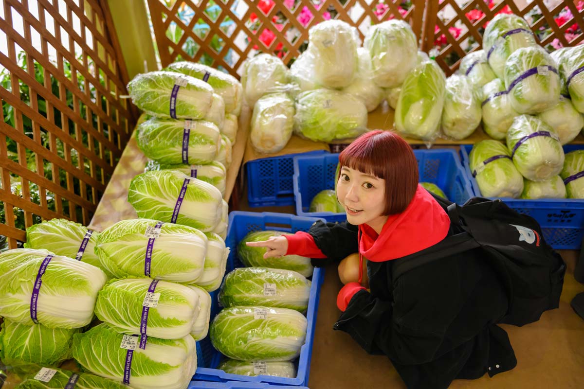 白菜が信じられないくらい安い!