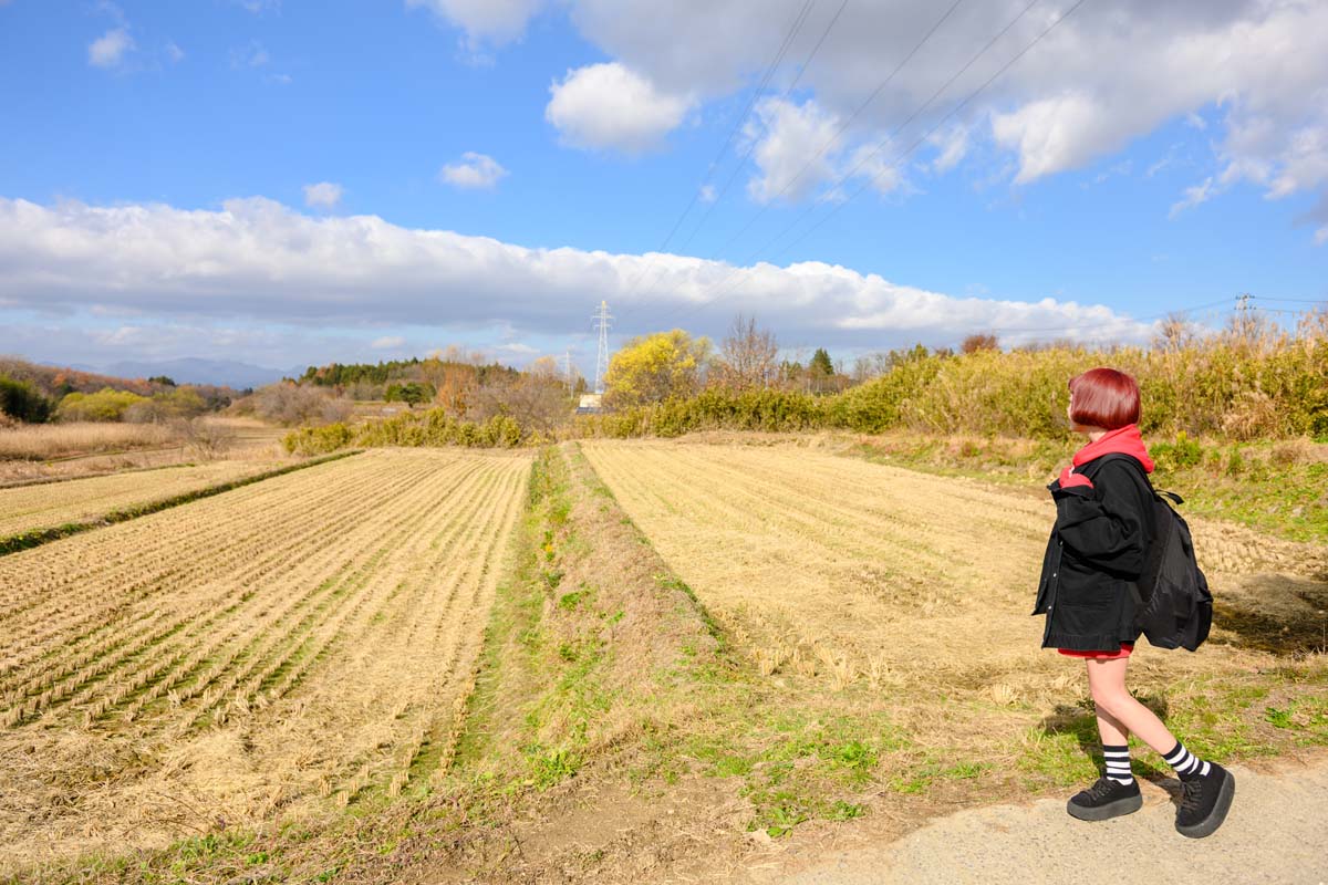 のどかな風景に癒される