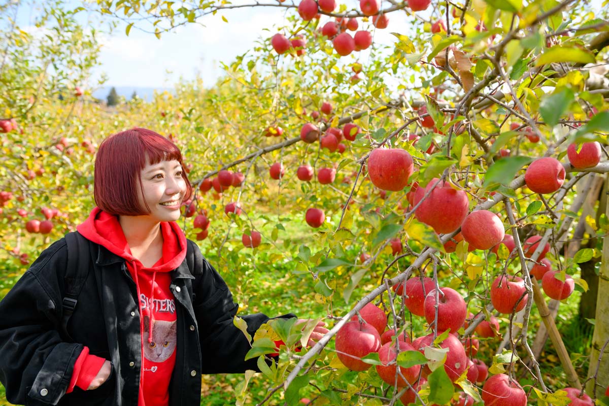 真っ赤なりんご!