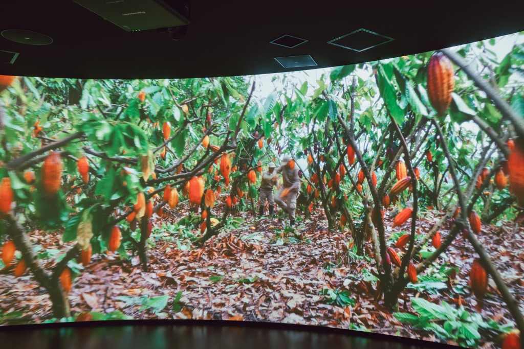 【北海道で工場見学】冬にこそ行きたい！「白い恋人」と「ロイズ」のテーマパーク