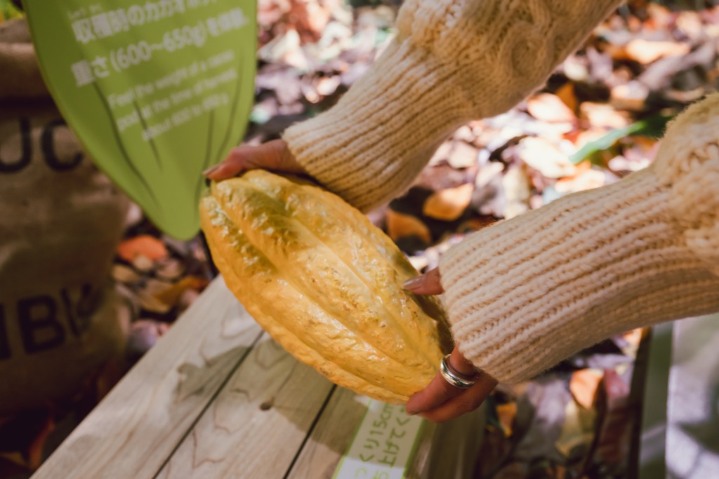 【北海道で工場見学】冬にこそ行きたい!「白い恋人」と「ロイズ」のテーマパーク