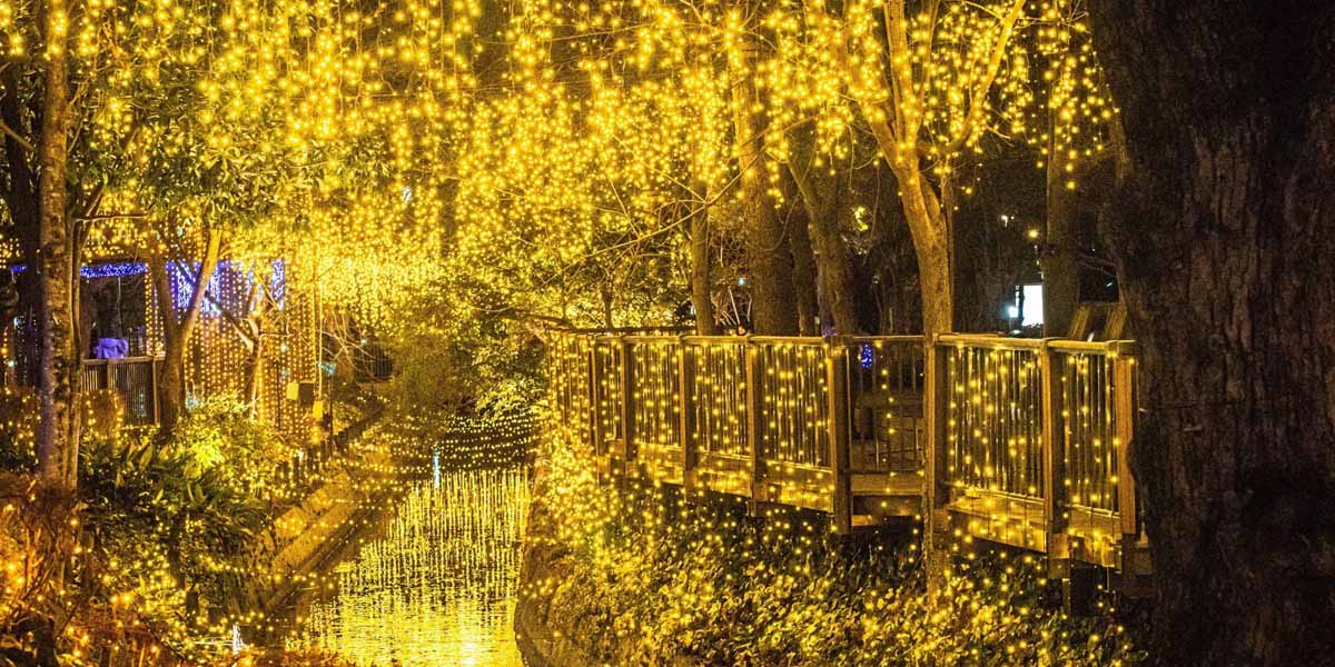 岡山県のおすすめイルミネーション 22 23 クリスマスや冬デートに