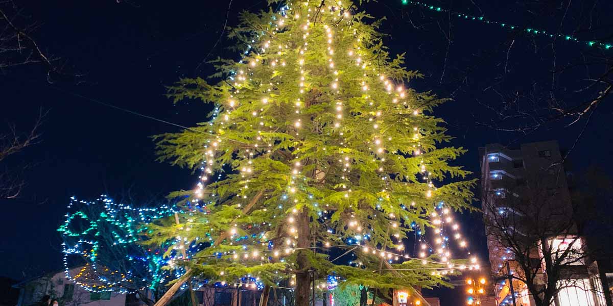 島根県のおすすめイルミネーション(2025-2026)クリスマスや冬デートに!