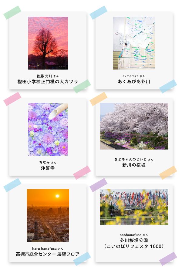 高槻フォトコン