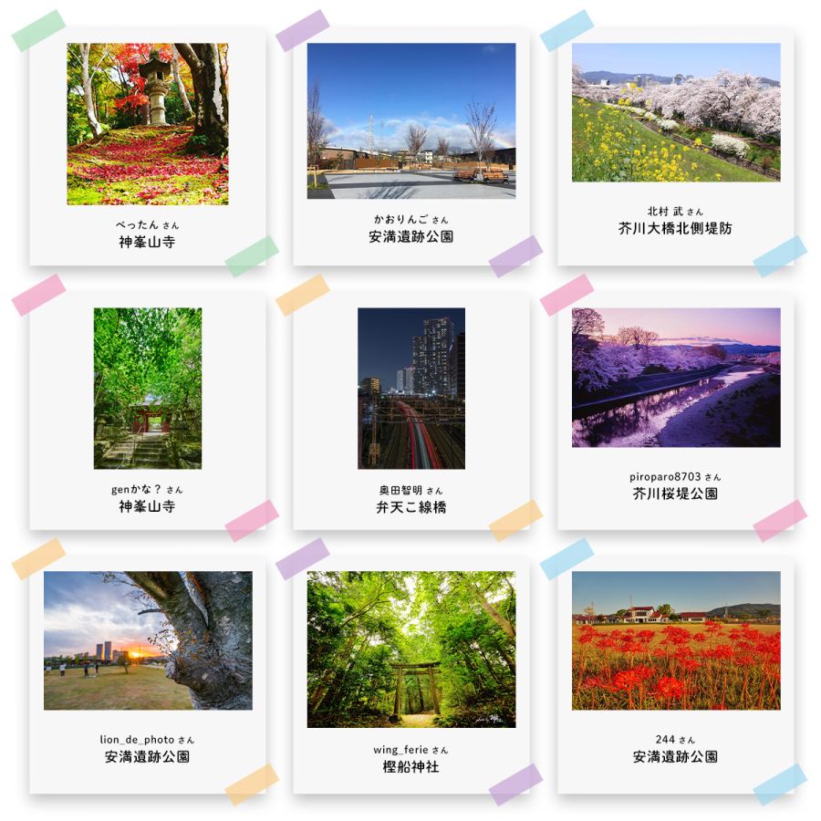 高槻フォトコン