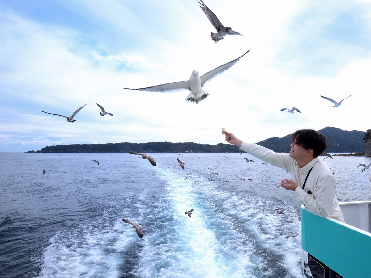 躊躇なく接近してくるウミネコたち。取材時はカメラ目線でサービス満点