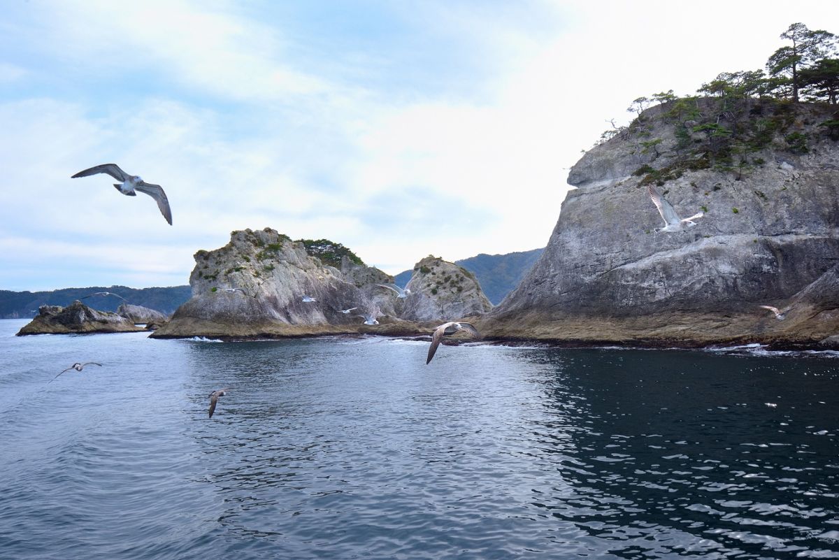 浄土ヶ浜を裏側から見られるのは「うみねこ丸」ならでは