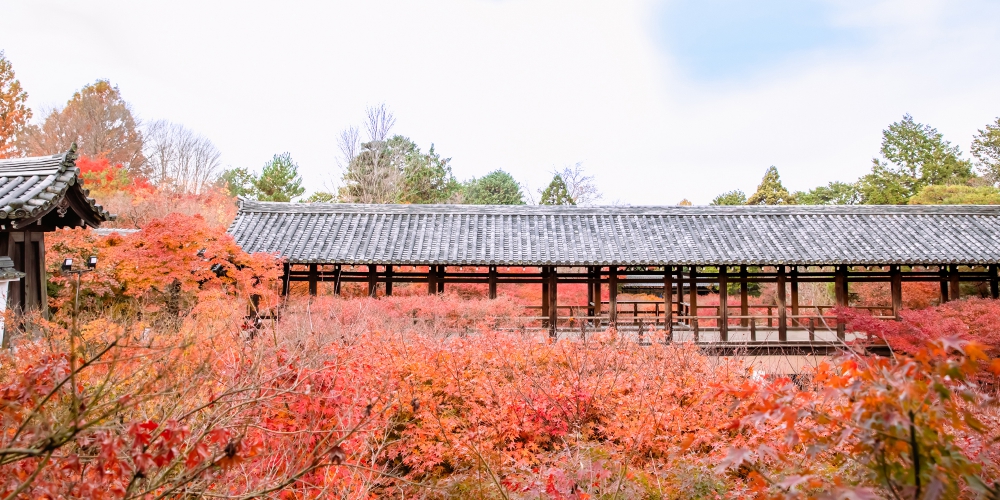 【京都】東福寺の見どころやアクセスをチェック！ 紅葉、庭園、伽藍…そのすべてが圧倒的！
