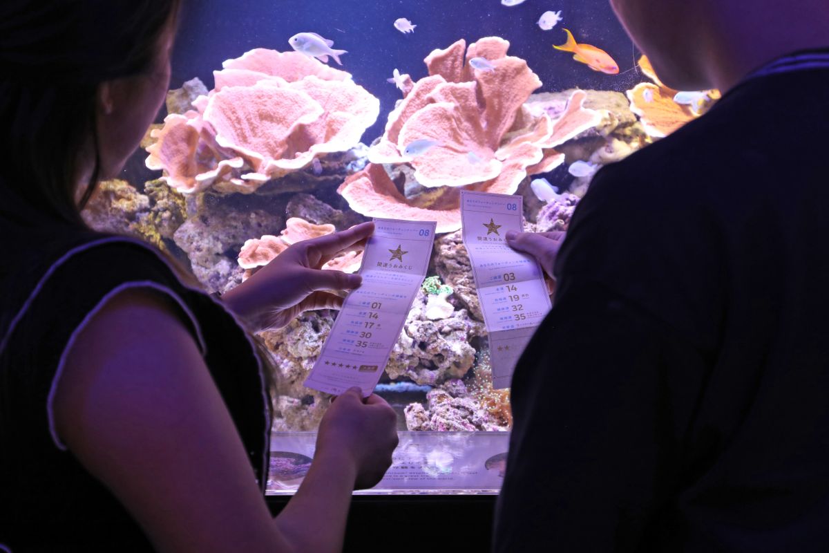 横浜開運水族館 フォーチュンアクアリウム