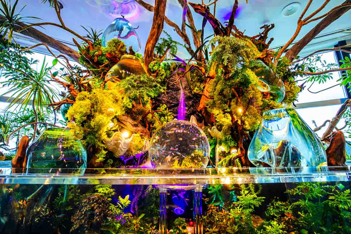 ゴールドタワーソラキン