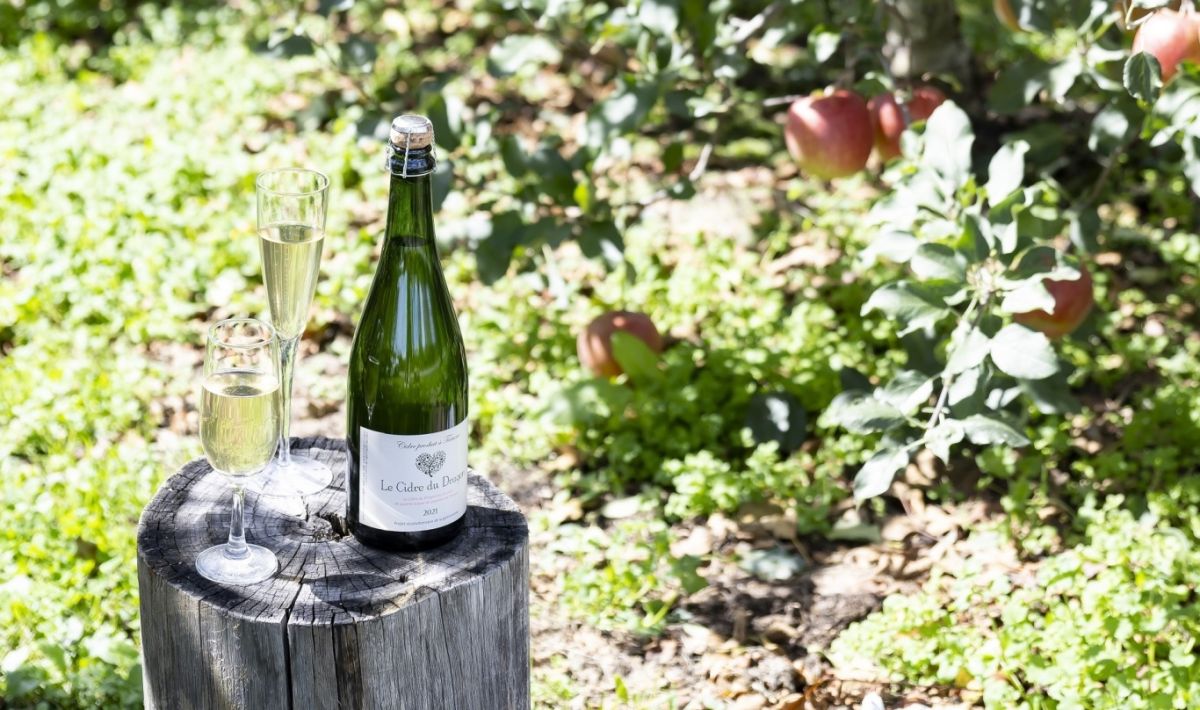 辰野町_シードル