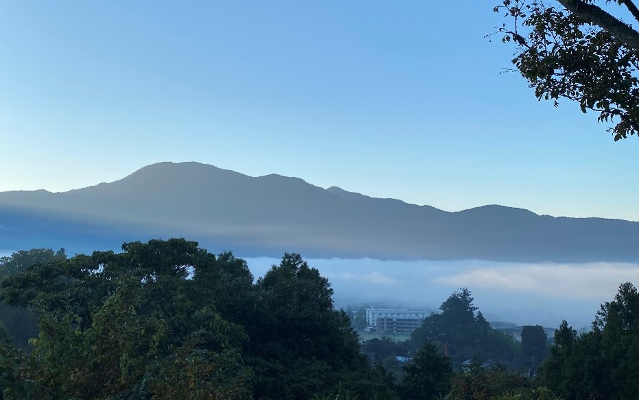 「朝霧テラス」からの眺め