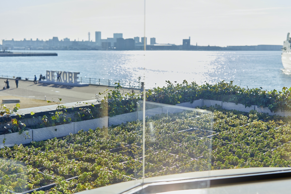 スターバックスコーヒー 神戸メリケンパーク店