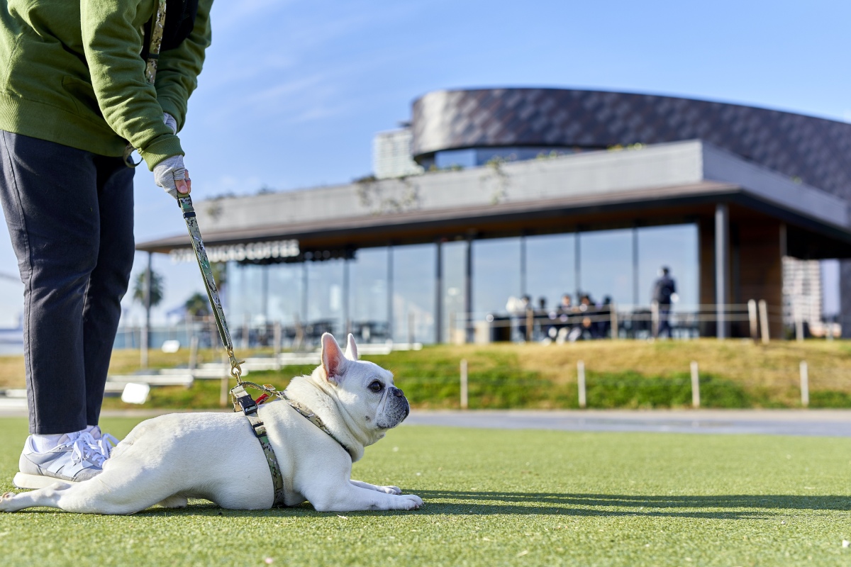 スターバックスコーヒー 神戸メリケンパーク店