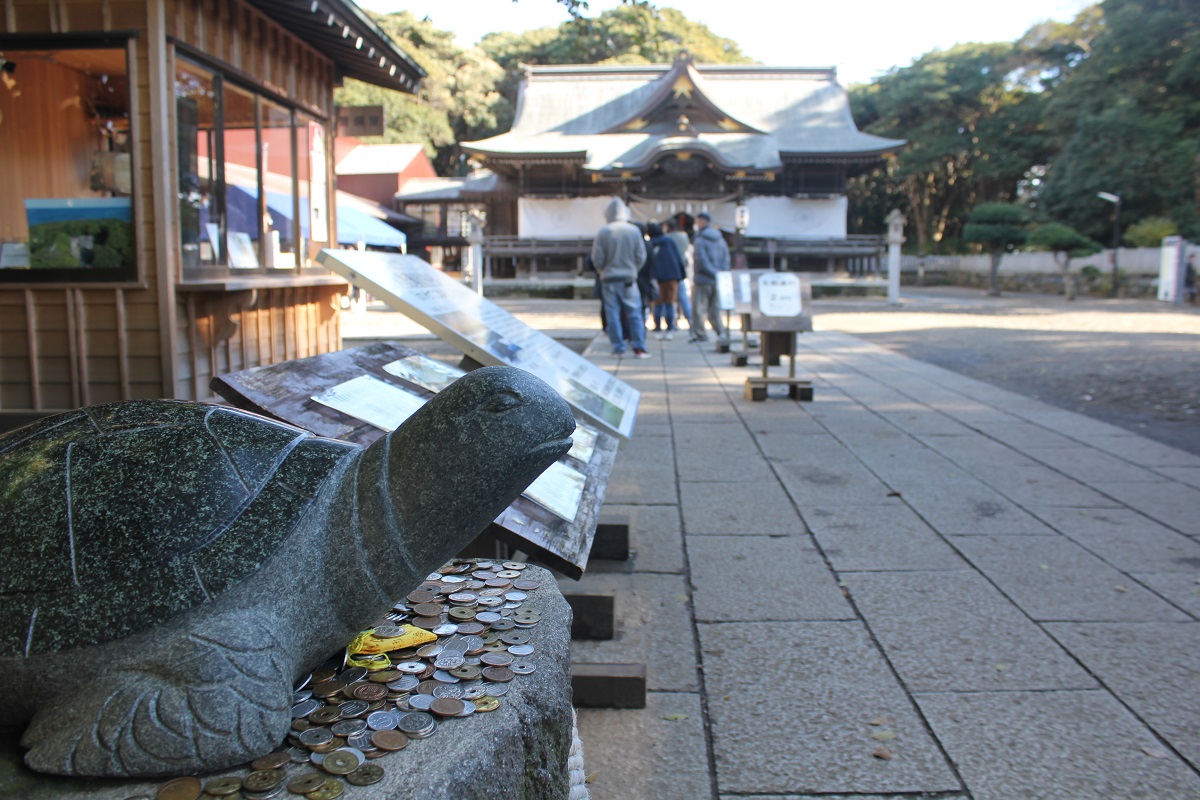 大人気！　幸せを運ぶ「幸運の亀」
