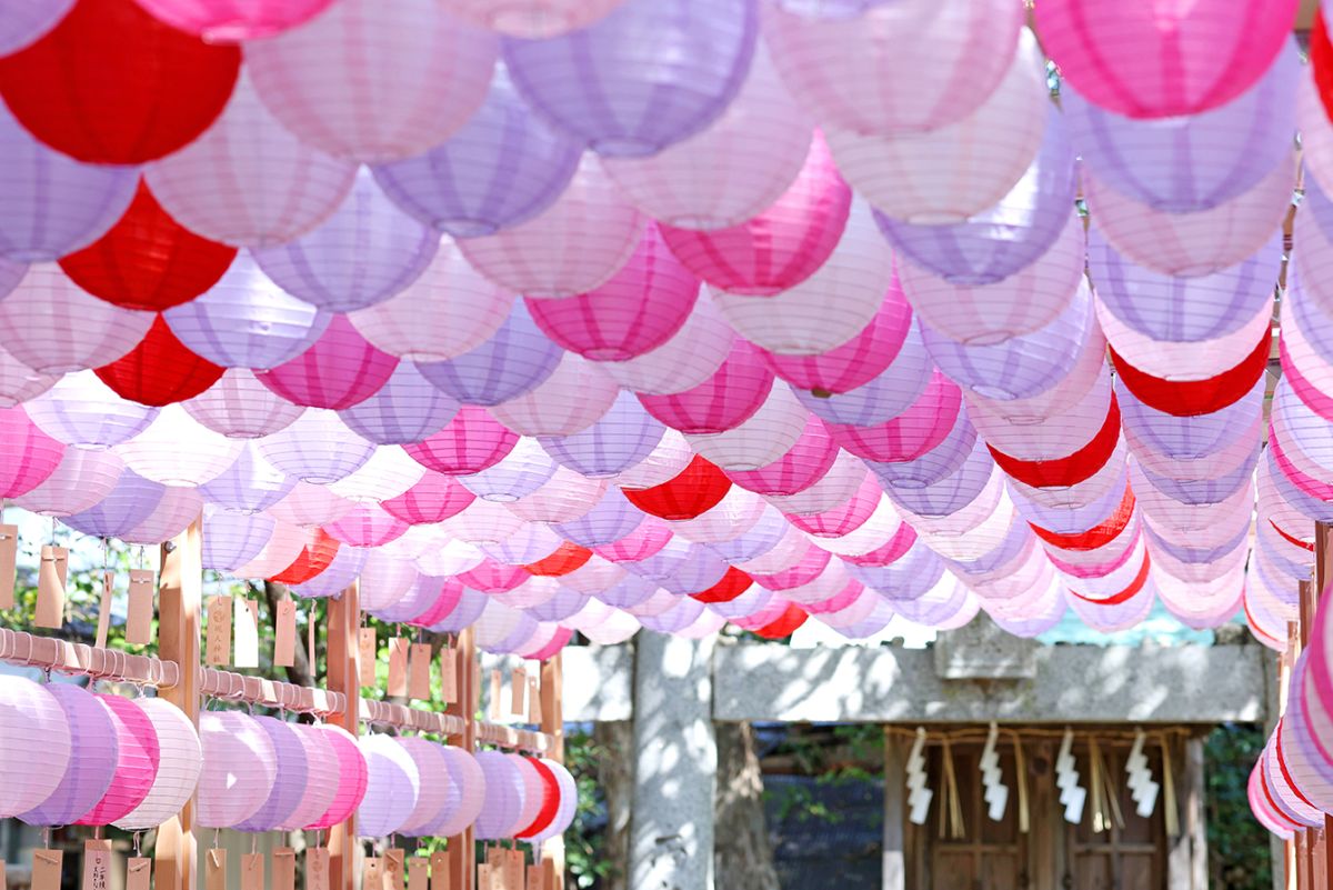 ピンク、赤、ラベンダー色の恋ぼんぼりが境内を彩る