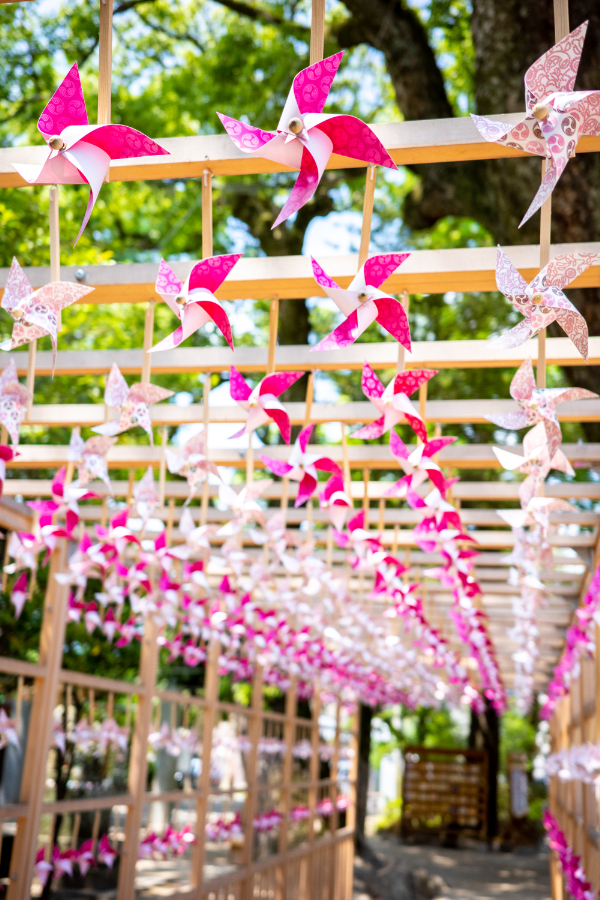 風車回廊には約1000個の風車が飾られます