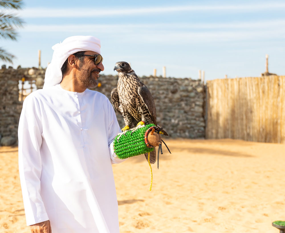 ファルコンショー