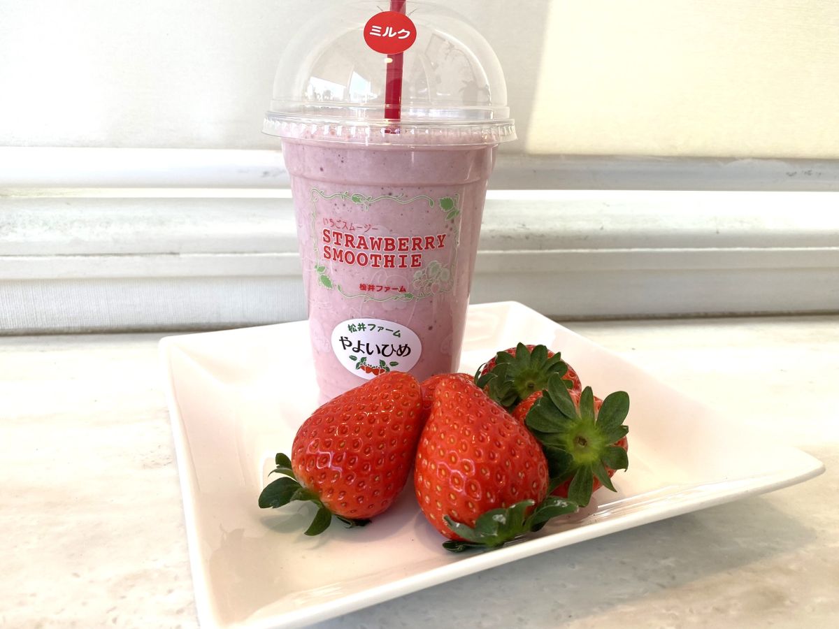 濃厚イチゴのスムージー480円(ミルク)、ヨーグルト(530円)、豆乳(550円)　※添えたイチゴは使ったやよいひめ。実際にはついてきません