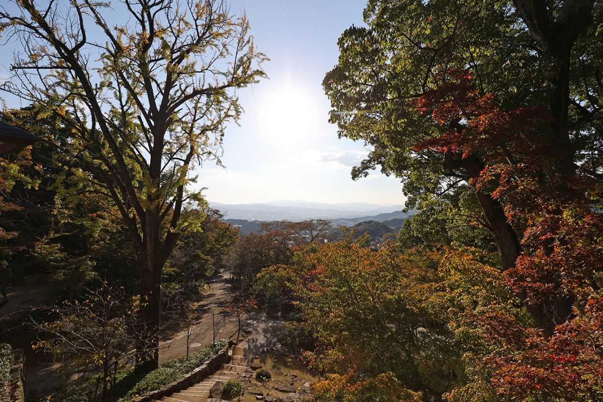展望舞台からは太宰府の街並みを一望