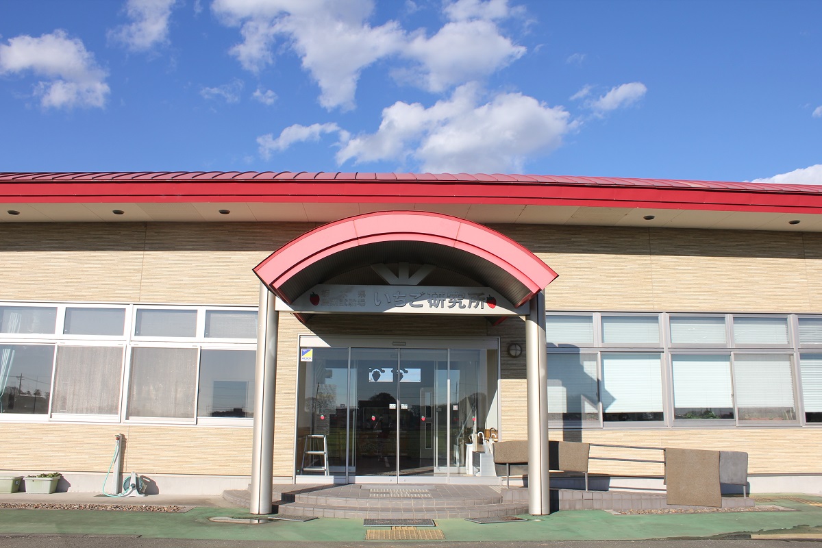 いちご研究所　農業試験場なので見学施設ではありません
