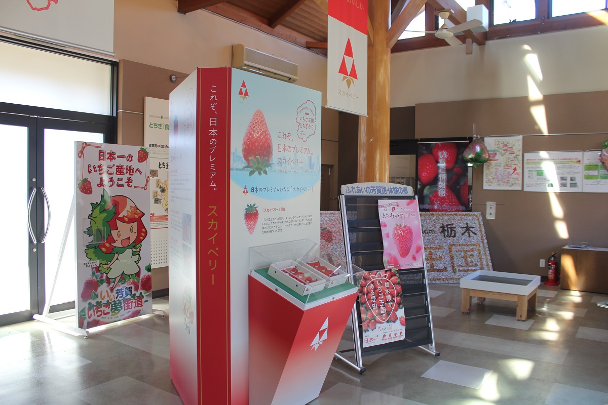 「道の駅にのみや」にはイチゴを紹介する施設があり、一般に開放されています。栃木県のイチゴの直売やオリジナルスイーツも販売しています