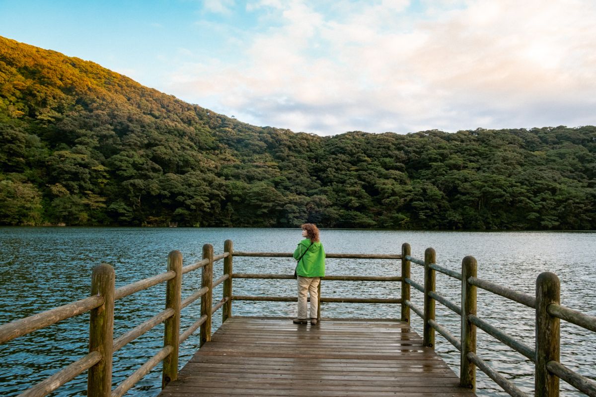 「野鳥が多くて、彼らの神聖なエリアにお邪魔しているような気持ちに」