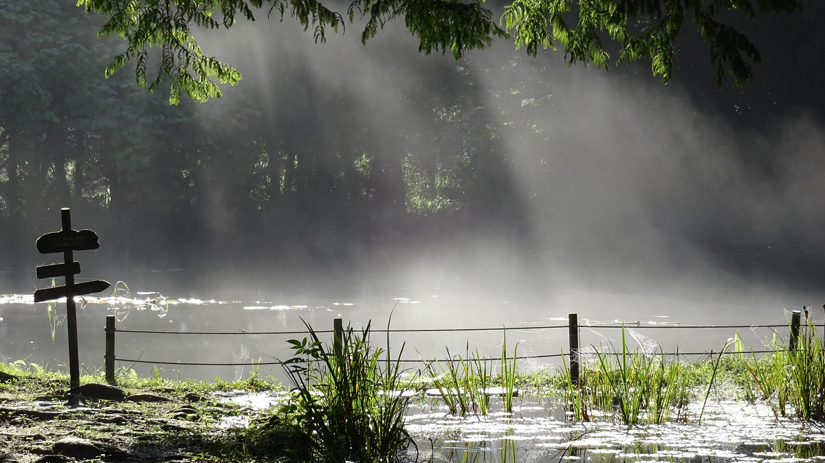 朝もやが幻想的な「白龍の大池」