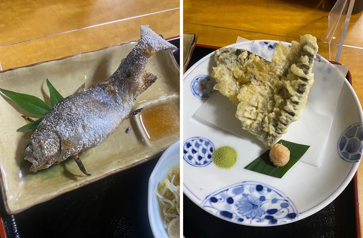 左が塩焼き、右が天ぷら