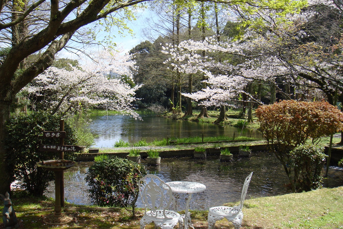 桜が楽しめる春