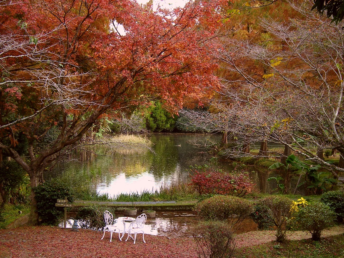 紅葉が美しい秋
