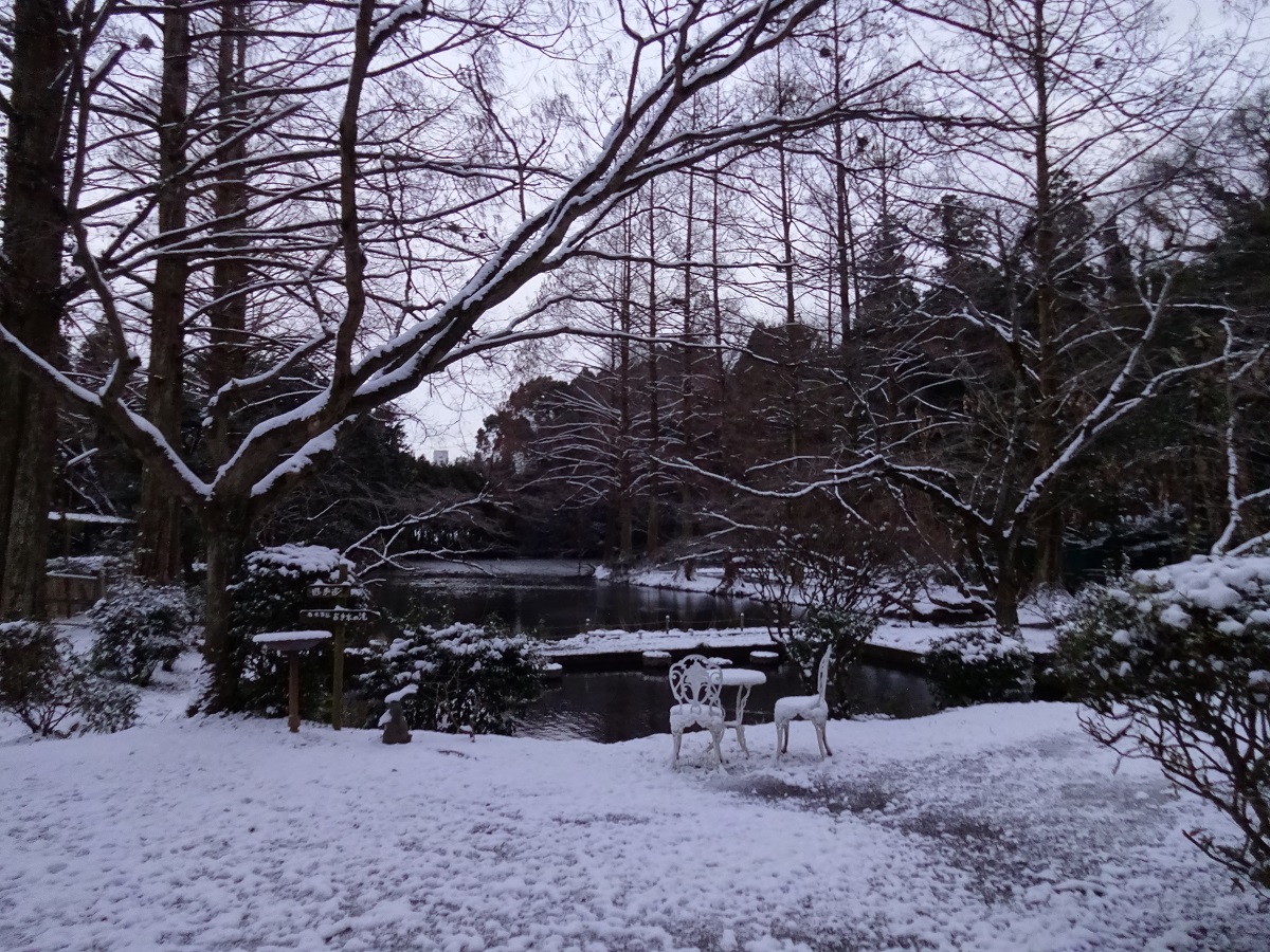 雪化粧で凛とした雰囲気の冬